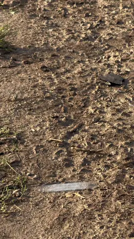 Jadiin sound buat akhir tahun gak nih? #karangbolong #pacitan 