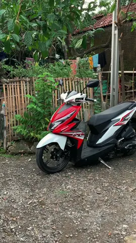 ❓#beatesp #hondabeat #oemlook #Lum #fyp 