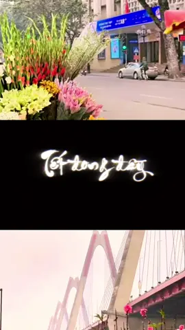 Tết đến mọi nhà 🌸 chúc mọi người bình an❤️ #capcut #tetdongday #tet2026 