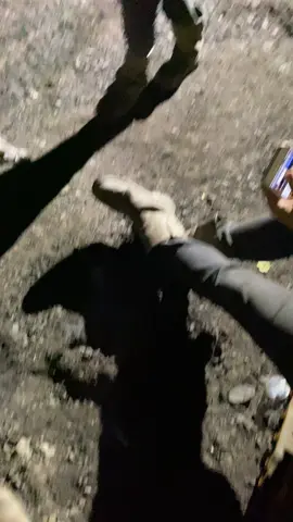 Izin @Y #tambanghitz #riungmitralestarisitemutu 