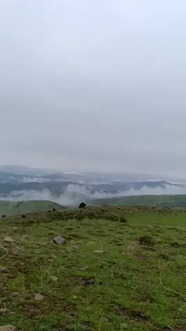 #keşfet #beniöneçıkart #🕊️🍂🦅🏔️⛰️ 