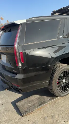 # Dele 2024  V. كاديلاك 🖤🐆 مصالح شركة Tigger كارز 