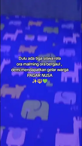 #fypage #pagarnusa86💚🔱 #pagarnusa#pagarnusaindonesia