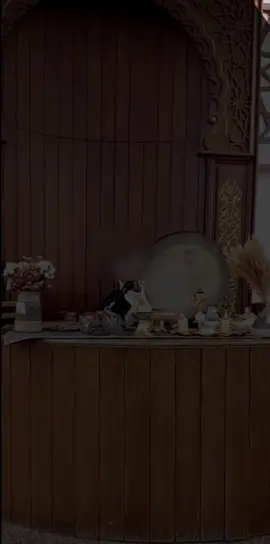 yaxua safart mubarak💔#arven #bra #daya