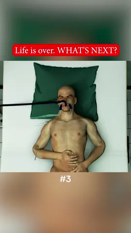 Life is over. WHAT'S NEXT? Part 3. #toples #Science #ТОПЛЕС #interesting #facts