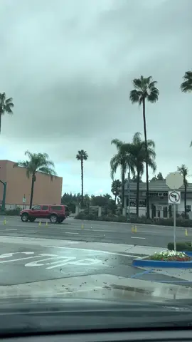 Vibes with my people 