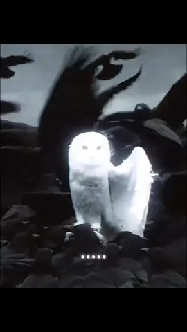 เป็นอีกามันดีอยู่แล้ว#ซูซูรัน #เรียกข้าว่าอีก 