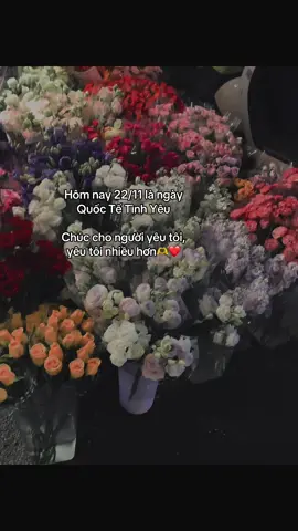 #_nqt_08th05 #ddnxuhuong 