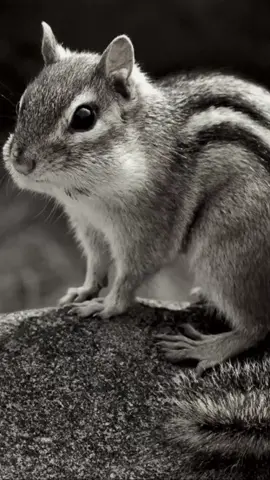 @прјнџессâ Акi'  у тебяя глазаа как небо ❤️❤️🗝️🗝️ 