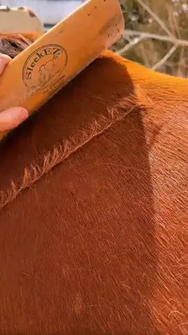 unfreezemyacount🙏 #saport___me💙😘 #viewsproblem #tik_tok#vairalvideo #for 