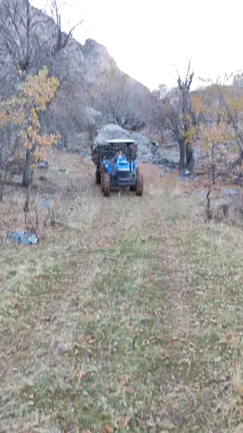 Emektir #keşfet #orman @Ferhat🕊️ 