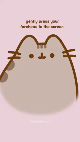 boop ✨ #Pusheen #FYP #PusheenTheCat #catsoftiktok