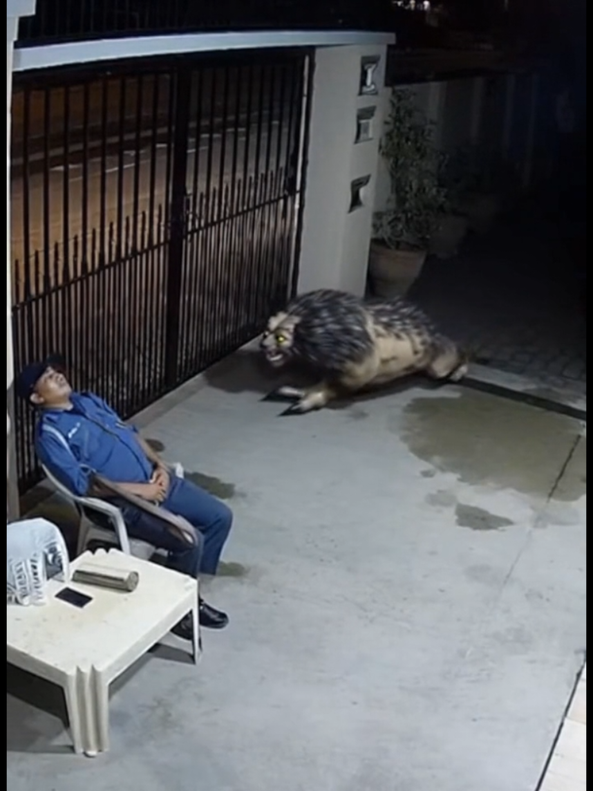 CCTV Camera Capture this Movements.😱😱 #fyp #unbelivable #fyp #fypシ゚viral #new 