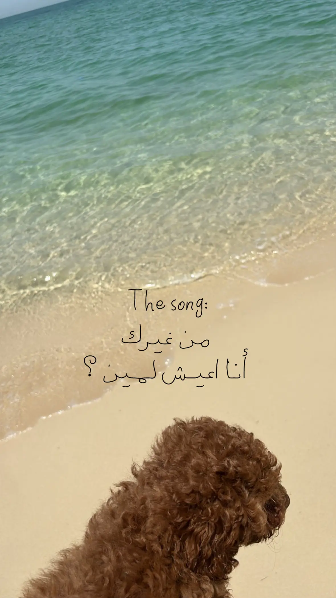 #اكسبلورexplore #