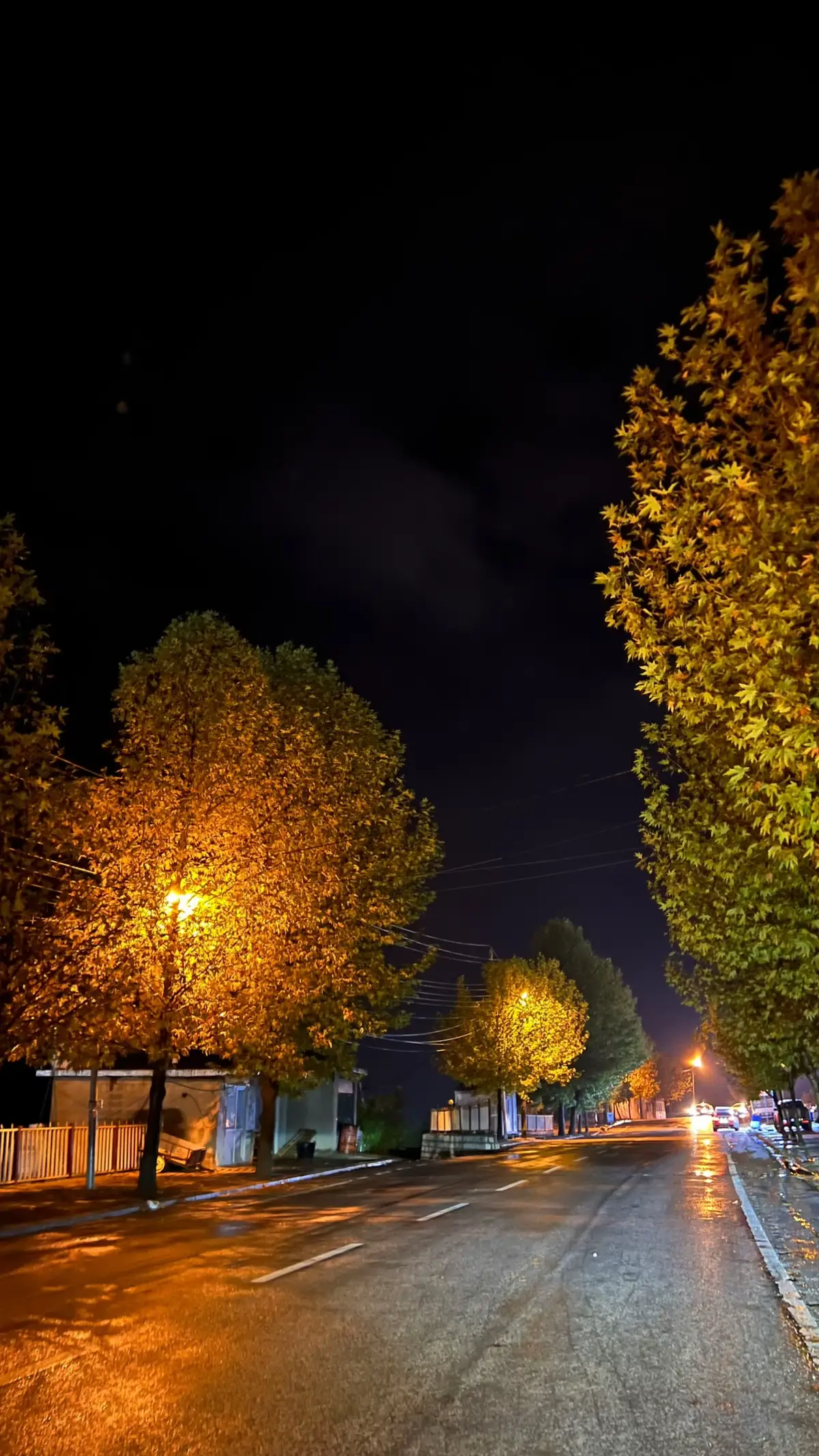 #kurdstan #fyp #foryou #mergasor #r