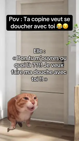 #trendmemechat #histoirechat #memechat #quizcouple #fyp 