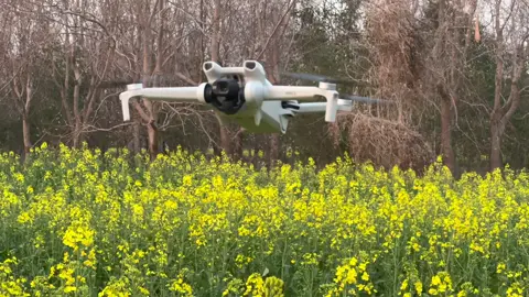 Mini 3 hiện tại là lựa chọn số 1 cho ae mới cả về chất lượng lẫn giá cả.  #thuêflycam  #mini3