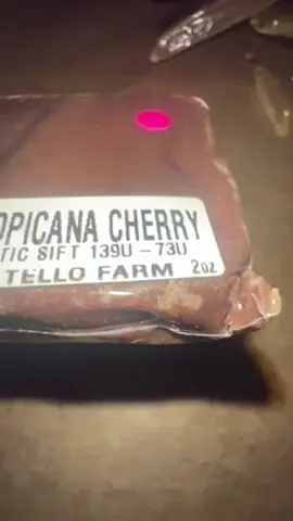 THE STATICROOM🇺🇸 🧤 GARDEN SERIES 👨‍🌾💫 STATIC SIFT 139/73U⚡️ Pink Label🩷🧤 TROPICANA CHERRY🏝️🍒#chocolate #staticroom #melt #staticsift 