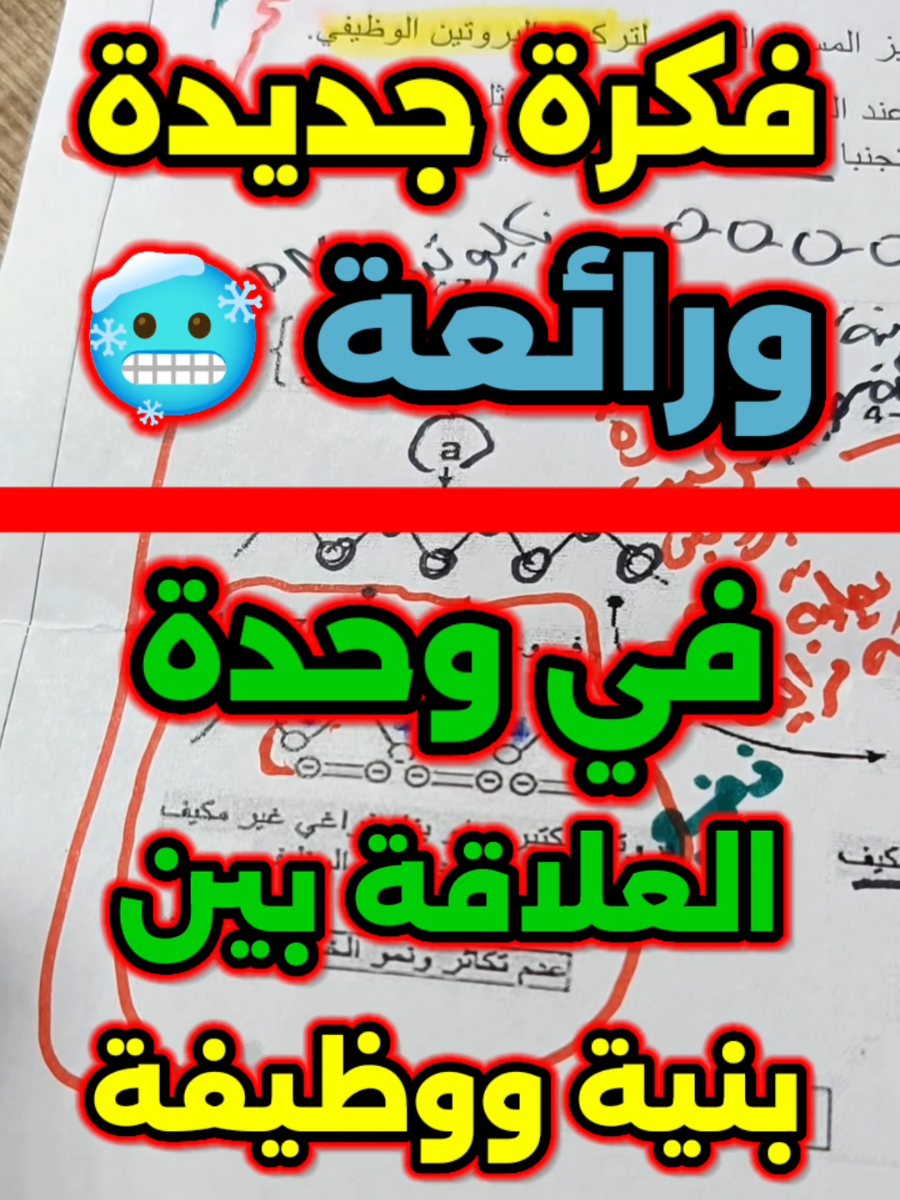 فكرة جديدة مرشحة بقووووة لبكالوريا 2026 في وحدة العلاقة بين بنية ووظيفة البروتين 🤯🔥