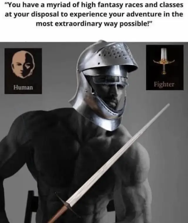 #dnd #dndtiktok #dungeonsanddragons #dungeonsanddragonsmeme #fighter 