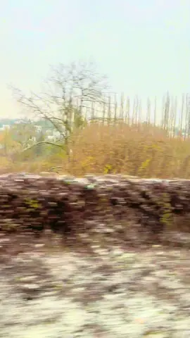 #عبارات #اقتباسات #نوفا #تصميم_فيديوهات🎶🎤🎬 #fyp  @nofa_نوفا 