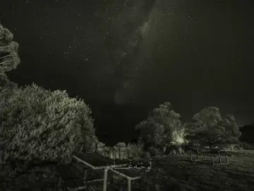 #باسم_الكربلائي_رادود_ما_له_مثيل #تصميم_فيديوهات #😔😔😔🥀🥀🥀 