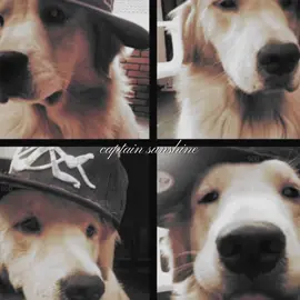 #JEREJEAN ; need them back yesterday  #jeremyknoxedit #jeanmoreauedit #aftg #allforthegame #aftgedit #jerejeanedit 