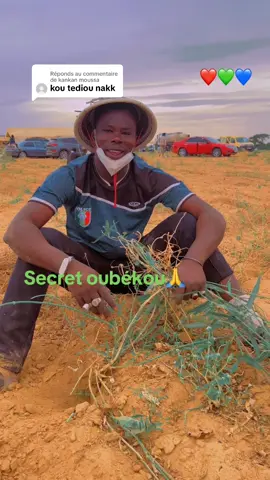 Réponse à @kankan moussa @souhaibou Telecom @Général_boss_capo  @Thiaw laye  saltigue bu daw bi  @Thiaw laye  saltigue bu daw bi  @Thiaw laye  saltigue bu daw bi 