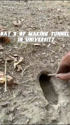 Day 3 Of Making tunnel in University until they notice.  #university  #tiktok  #aust  #foryou  #foryoupage 