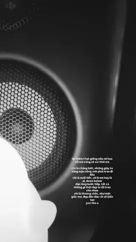 lại là demo của anh ấy 😍😍 #dangrangtoakatranlaluot #dangrangto #tranlaluot #drt 