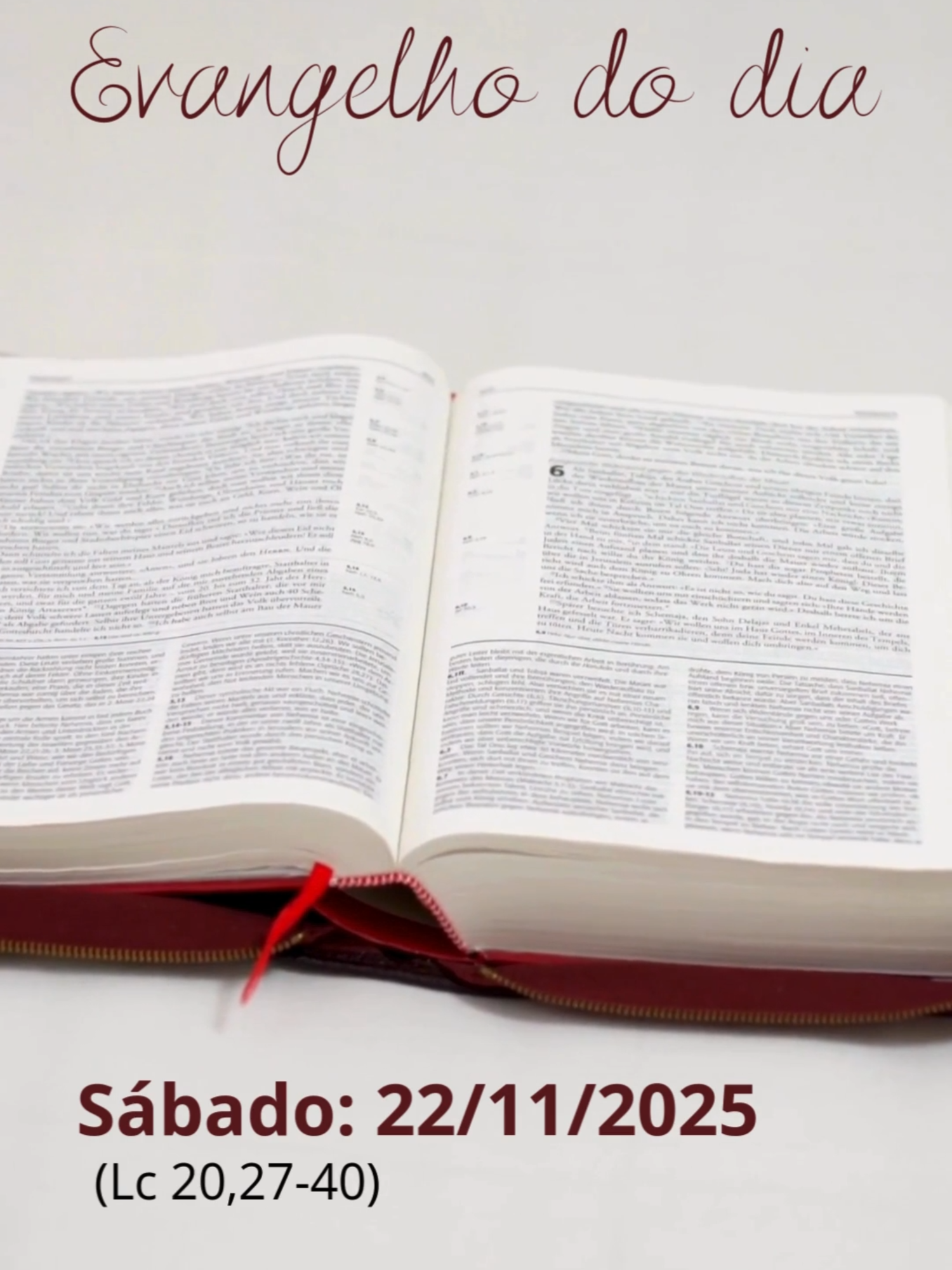 Evangelho (Lc 20,27-40) Naquele tempo, 27 aproximaram-se de Jesus alguns saduceus, que negam a ressurreição, 28 e lhe perguntaram: 