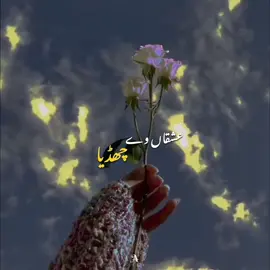ISHQA VE CHADYA /- 🫩❤️🦢  #lyricsongs #aestheticvibes #fyp #trend #viral 