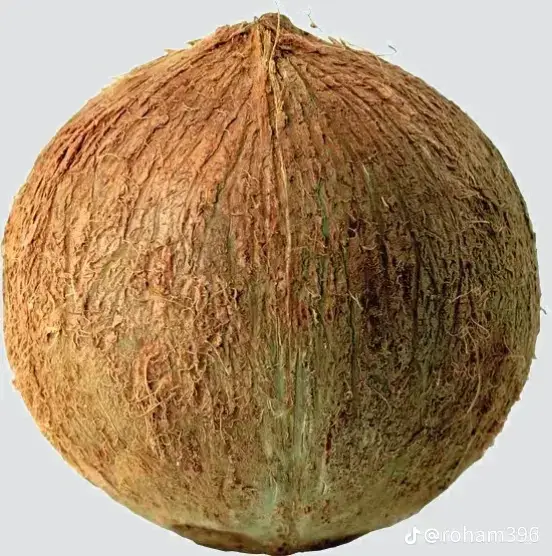 #ဘာသီးလဲမှန်အောင်ပြော👻