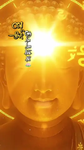 Con xin thành tâm xám hối. Nam mô a di đà phật #phattuannhien #phatphapvobien #phatphap #nammoadidaphat #phatphapnhiemmau 