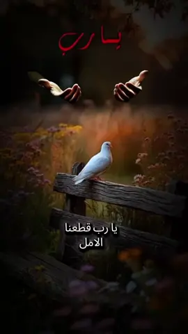 #يـــــــــــــــــاࢪب 🤲🏻🤲🏻🤲🏻🤲🏻