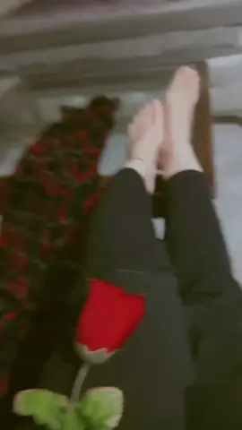 meri salami kr le meri golami kr #foryou_viral_video  #tiktokpakistanofficial  #growmyaccount  #plzunfrezemyaccount  #fyppppppppppppppppppppppp @TikTok Pakistan 