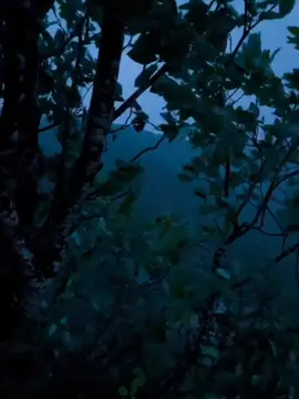 #قران_كريم #صلوا_على_رسول_الله #صلي_علي_النبي_محمد_صلي_الله_عليه_وسلم 