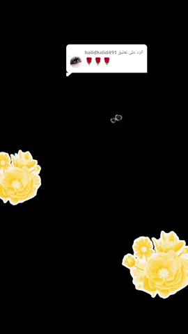 الرد على @halidhalid491 @🧸♥️سہمو اـᬼ ꙰🧸⑅⃝لہأميہرة♥️🧸 @سيلا🔥🔥🔥 