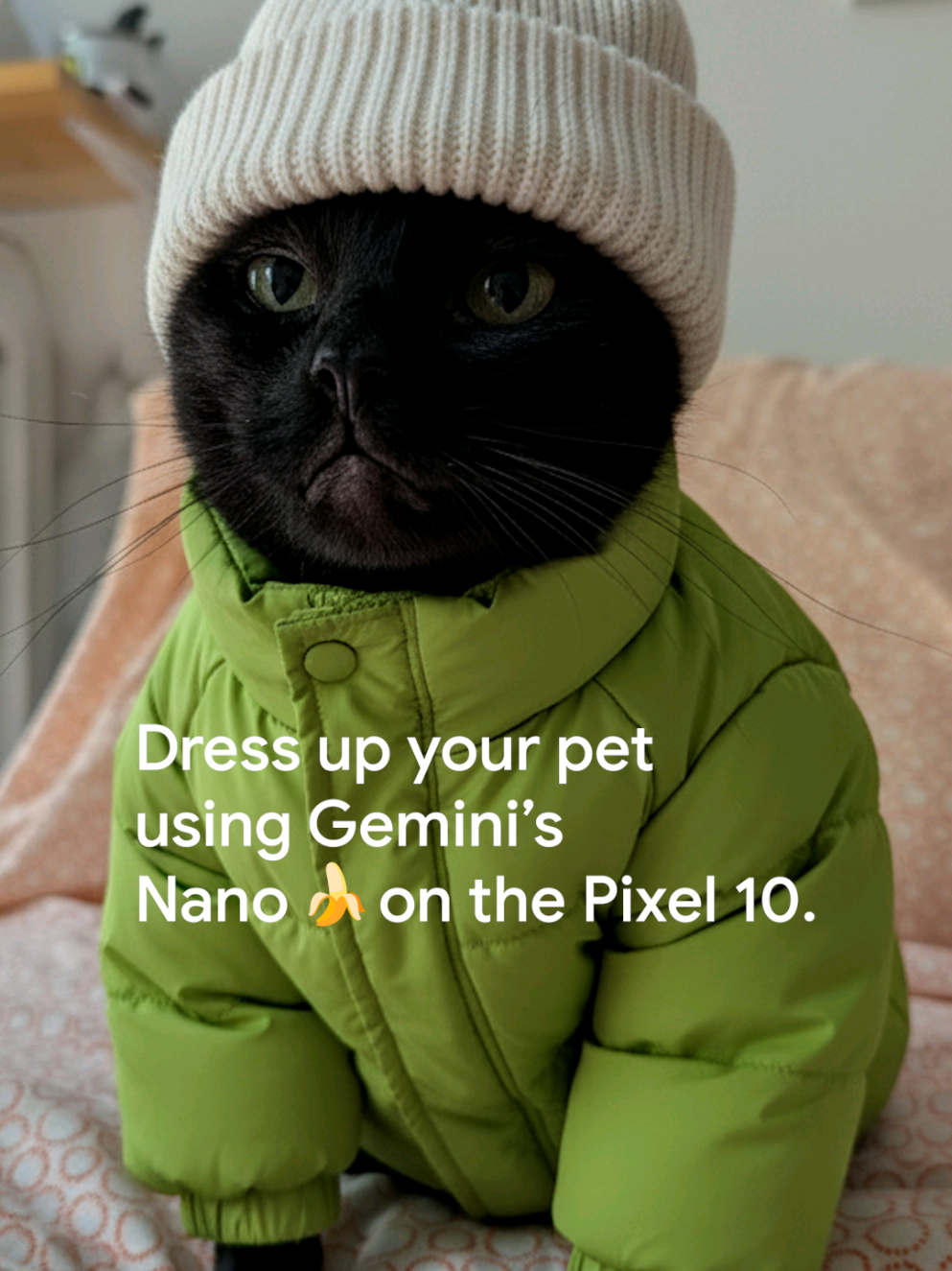 With Nano Banana in the @googlegemini app on #Pixel10 , even your fur babies can get fit checks.