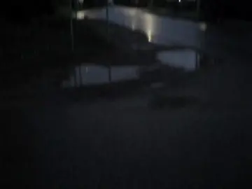 telegram channel — msngbyss