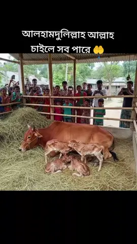 #🇧🇩🇧🇩🇸🇦🇸🇦 