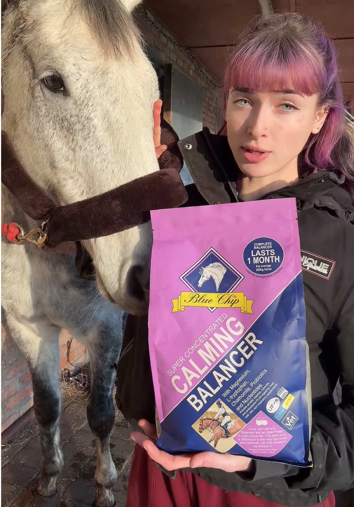 Link in my bio to take you straight to the @bluechipfeed website!✨  Place a one-time order for any two feed balancers on the website and enjoy 40% OFF the lower-priced item! 😍✨ Feel free to mix and match across the full feed balancer range!🙌🏼  Choose any two balancers and enjoy *40% off the lower-priced item*. Add as many balancers as you like to your basket - every two balancers qualify for the offer! BlueChip feed balancers offer an all-in-one, tailored solution, ensuring your horse or pony gets optimal nutrition every day😎💖 Discount will be automatically applied at checkout. No discount code is needed.  How to order as a feed subscriber? Place a one-time order for any two feed balancers on the website and automatically get 40% off the lowest price item. If you’d like to delay or skip your next subscription order, simply log into your account, go to your subscription portal, and adjust your subscription. You can skip your next order to make use of the extra feed purchased in the Black Friday offer✨