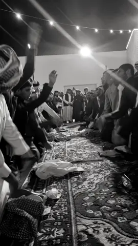 #شيوخ شمر#سامري#