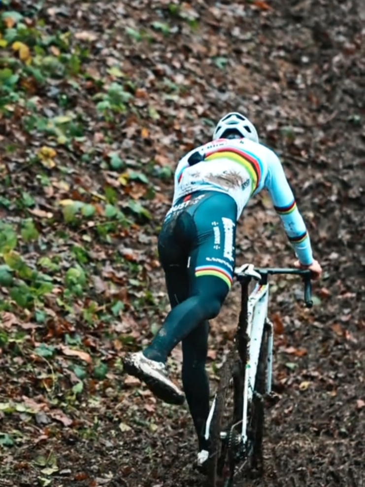 #mvdp #ciclocross #ciclismoemozionante #mathieuvanderpoel 