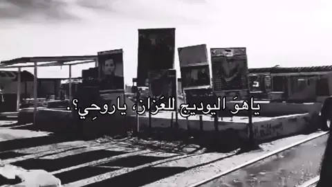 ياهوَ اليوديج للعَزاز ياروحِي؟  #روز #باسم_الكربلائي #فقيدي_خالي #ستوريات_حسينيه #اكسبلورexplore 