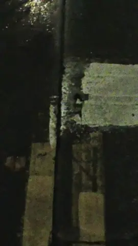 ايدي بيده وباله مو يم بالي  #عمر_هادي #roblox #CapCut #التراث #مشاهير_تيك_توك 