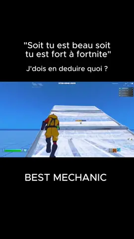 Je suis beau ou fort ? #pourtoi#prt#ftn#foryou#republication @FoxFNBR @>< ᥫ᭡ 