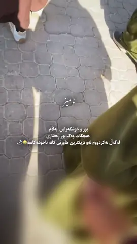 بەڵێ ئەو☺️💍. #ئەکتیڤبن🥀🖤ـہہـ٨ــہ #ئەکتیڤ_سفڕە_یەک_تۆز_ئەکتیڤ_بن_دڵەکان😻💔💪 #fyppppppppppppppppppppppp #fyyyyyyyyyyyyyppppppppppppppppp #foryoupage 