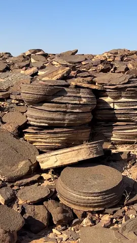 من طبيعة تبوك ولا احد يدقق واجد 😂😂#اكسبلور #مكشات_وناسة_بر #explore #foryou #fyp 