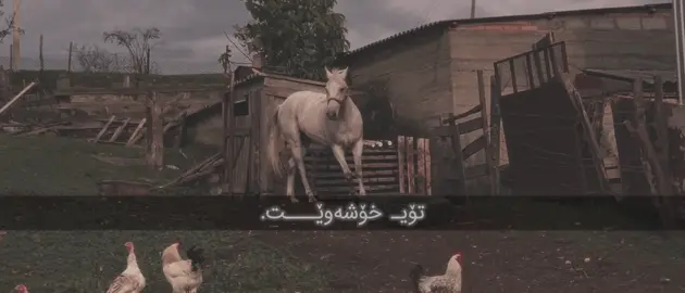 Alhamdulila👤:))#for #foryou #fyp #tiktok #acctive 